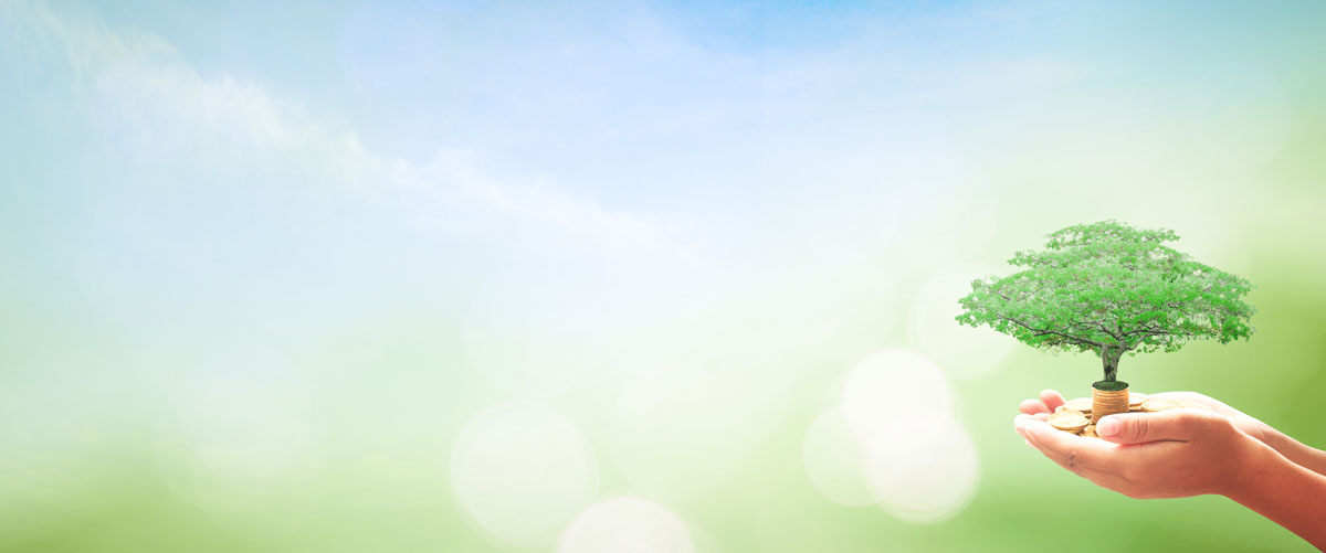 Donation HYM Banner 2