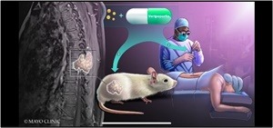 Dr Oluwaseun O Akinduro2