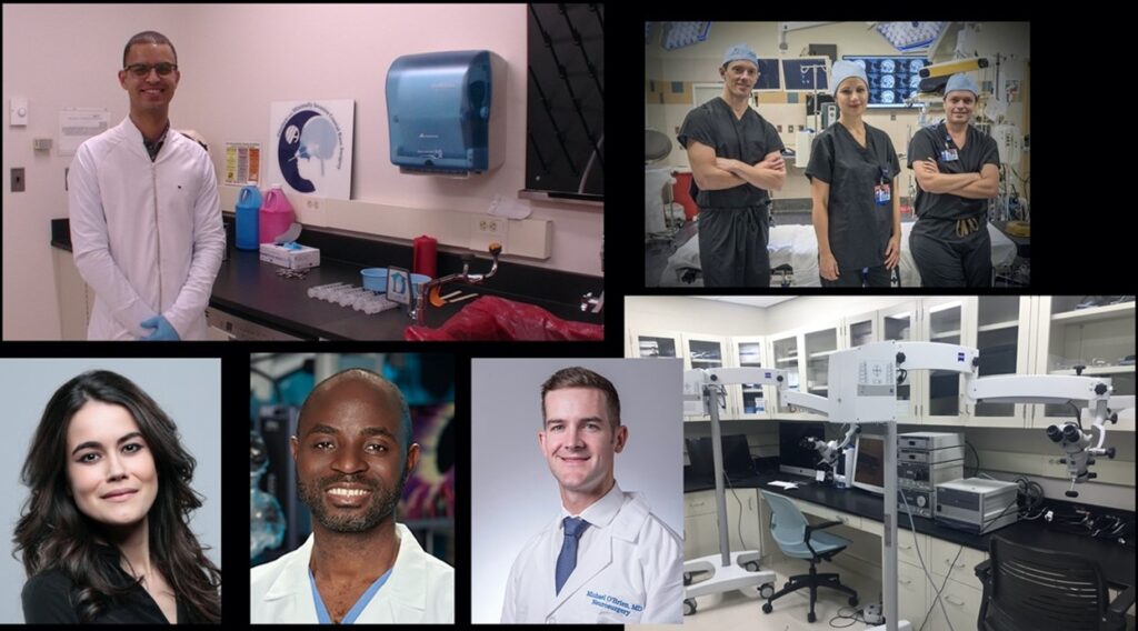 periscelda - group of neurosurgeon