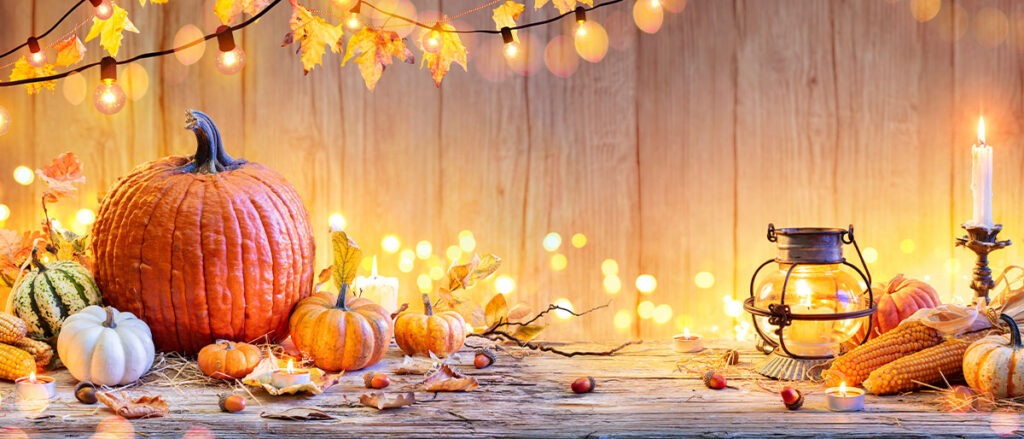 Fall Newsletter 2024 Banner