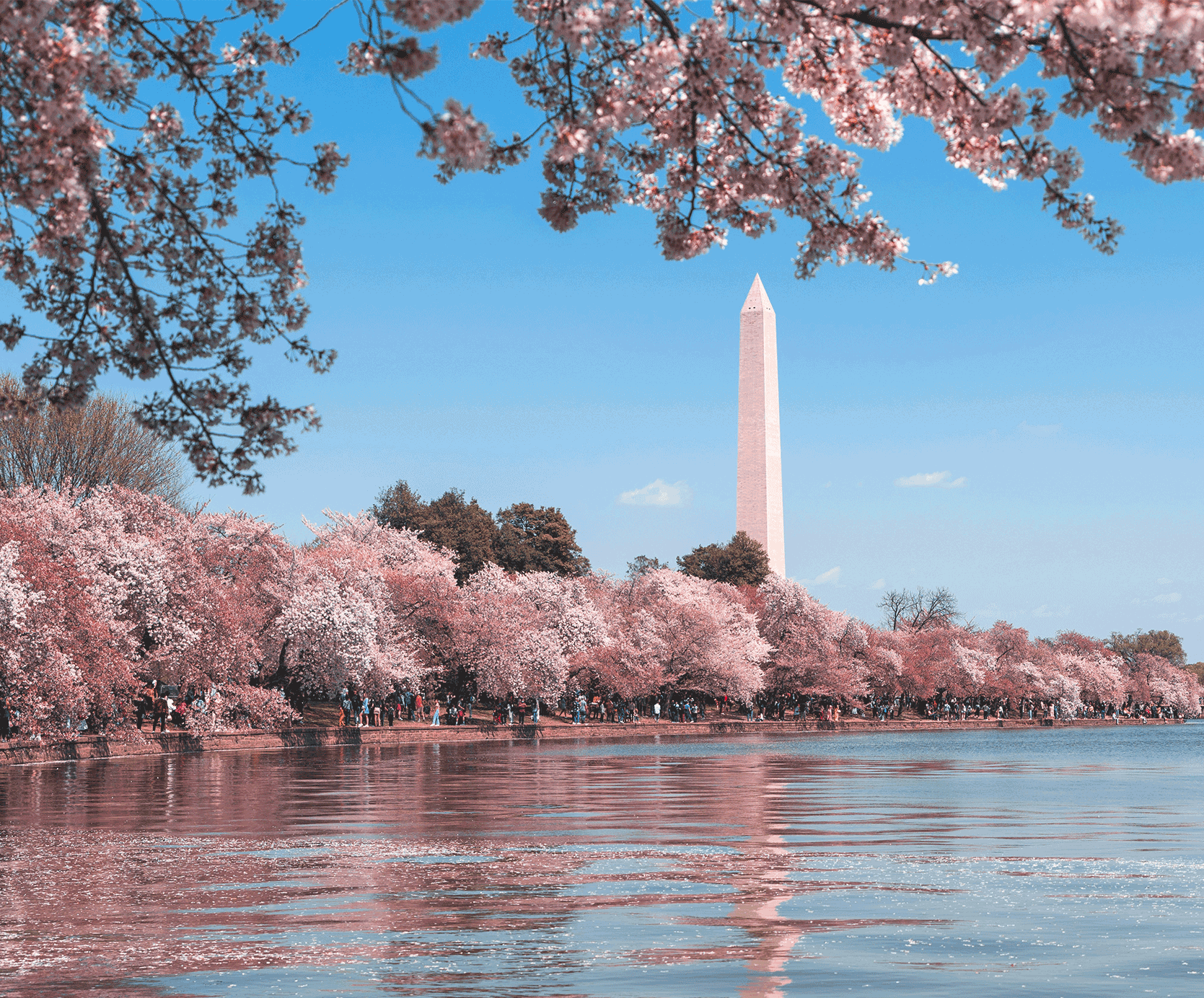 2026 CNS Annual Meeting in Washington DB Banner